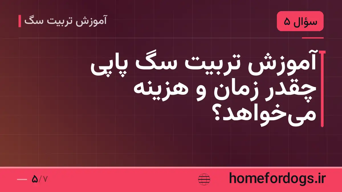آموزش تربیت سگ پاپی چقدر زمان و هزینه میخواهد؟