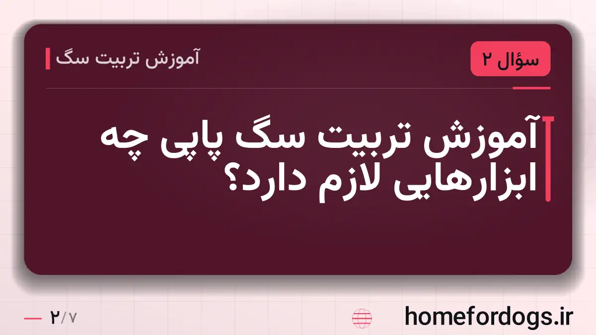 آموزش تربیت سگ پاپی چه ابزارهایی لازم دارد؟