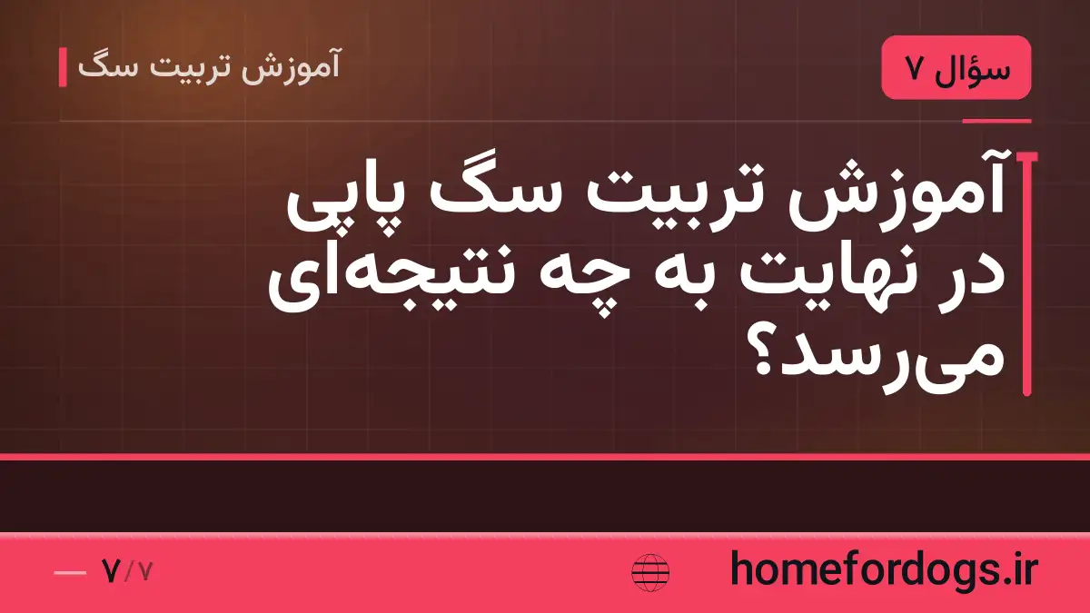 آموزش تربیت سگ پاپی در نهایت به چه نتیجهای میرسد؟