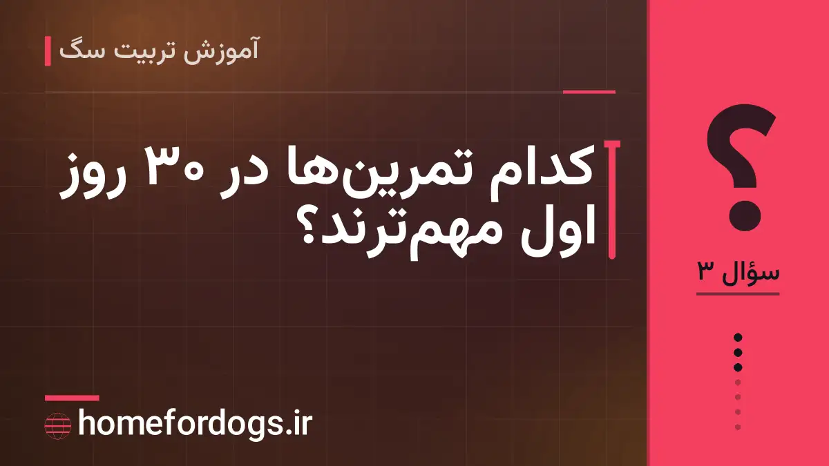 کدام تمرینها در ۳۰ روز اول مهمترند؟
