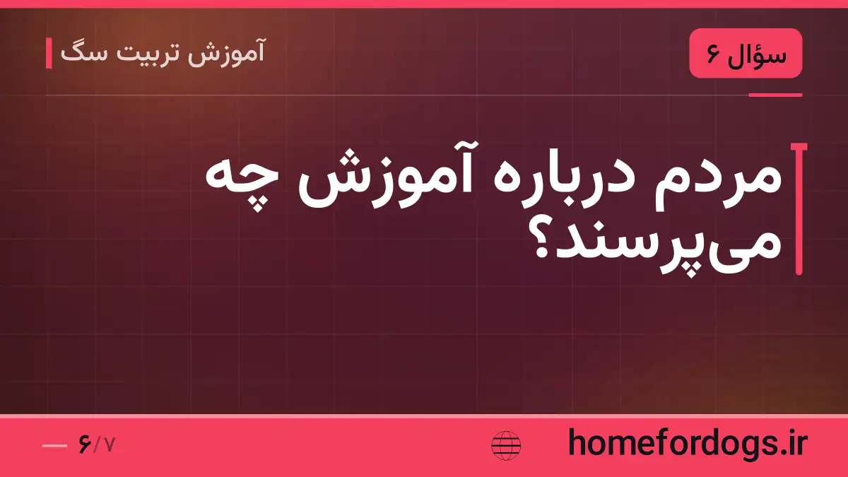 مردم درباره آموزش چه میپرسند؟