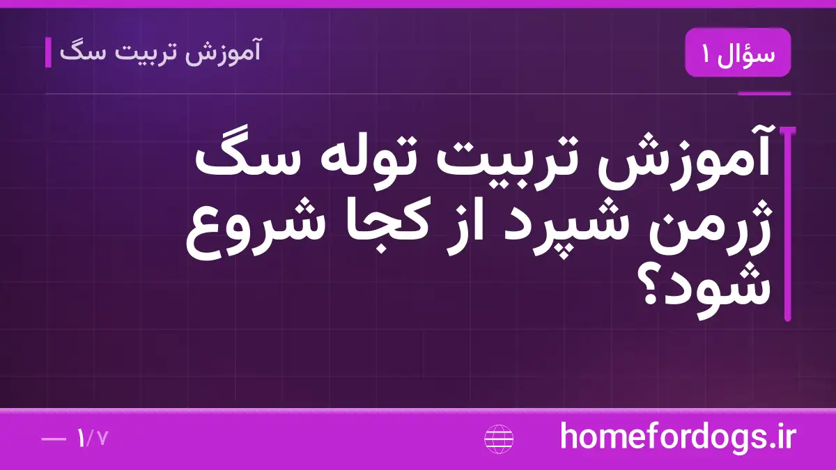 آموزش تربیت توله سگ ژرمن شپرد از کجا شروع شود؟