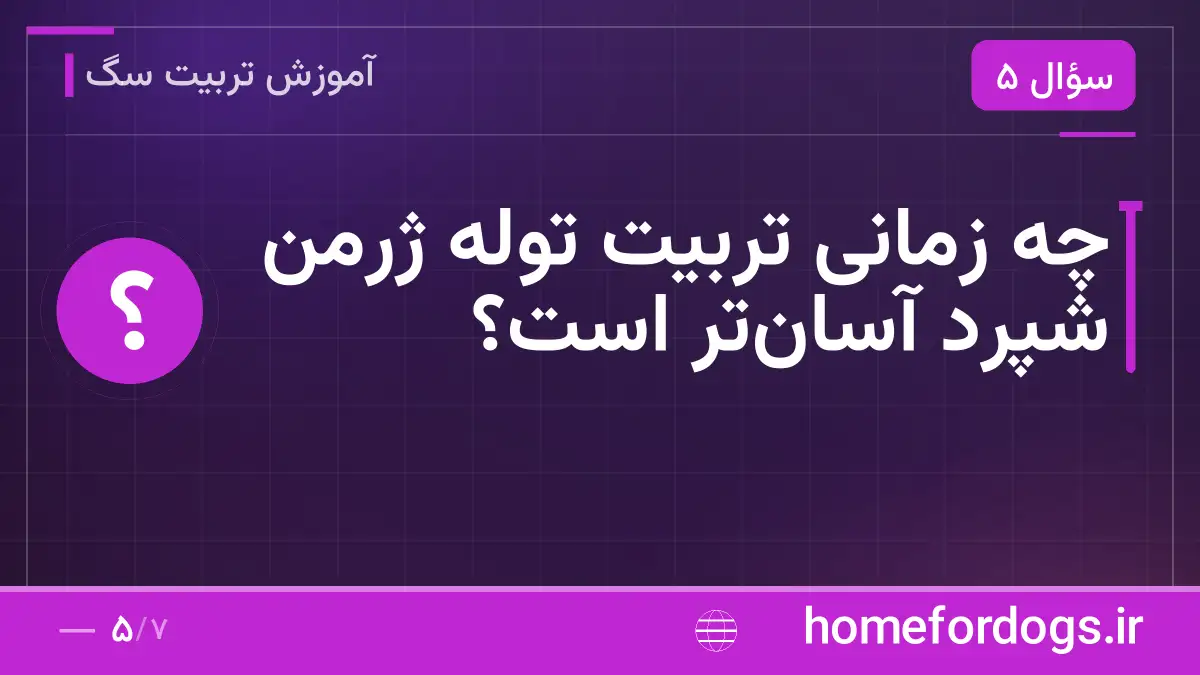 چه زمانی تربیت توله ژرمن شپرد آسان‌تر است؟