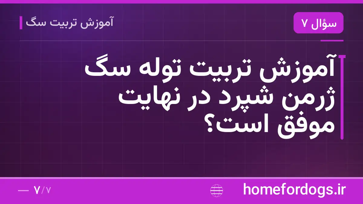 آموزش تربیت توله سگ ژرمن شپرد در نهایت موفق است؟