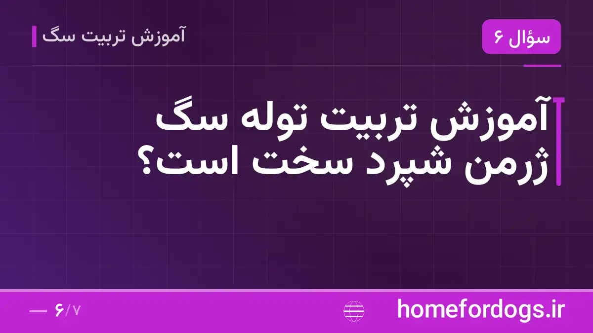 آموزش تربیت توله سگ ژرمن شپرد سخت است؟