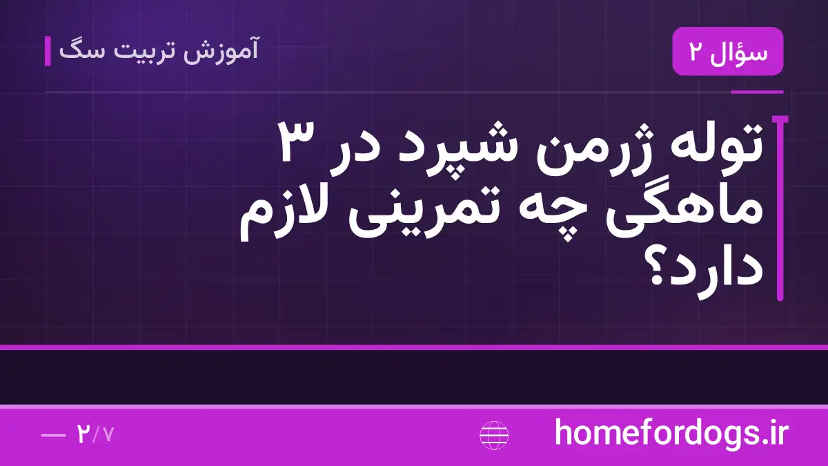 توله ژرمن شپرد در ۳ ماهگی چه تمرینی لازم دارد؟