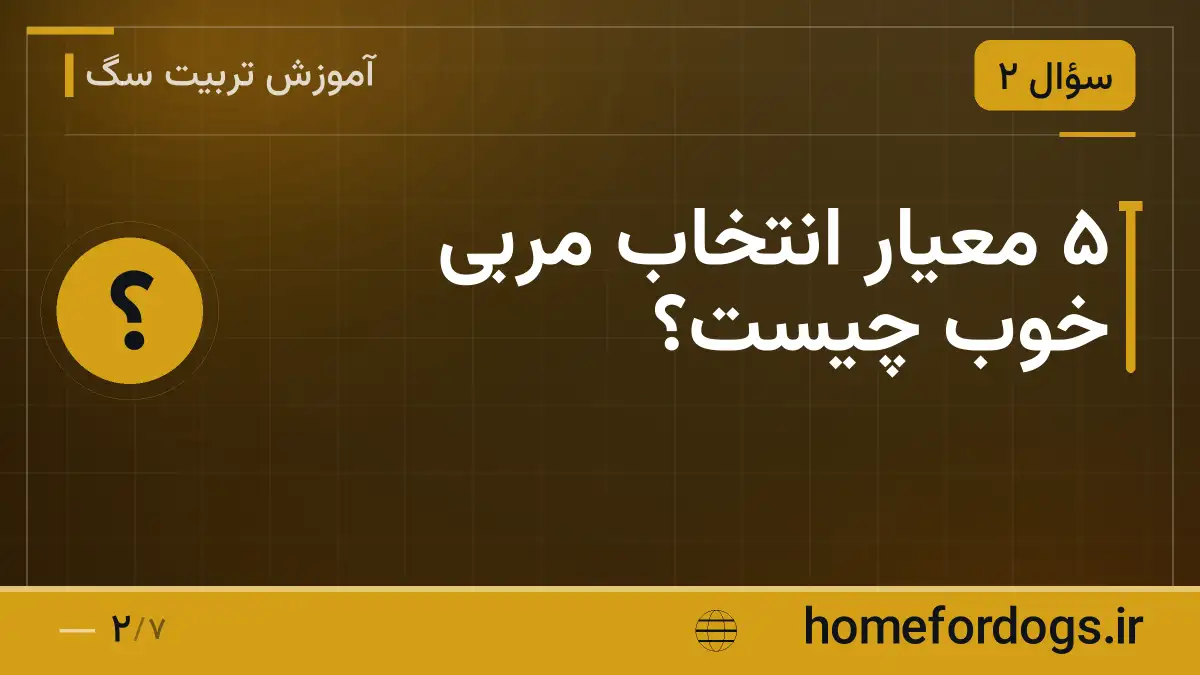 ۵ معیار انتخاب مربی خوب چیست؟