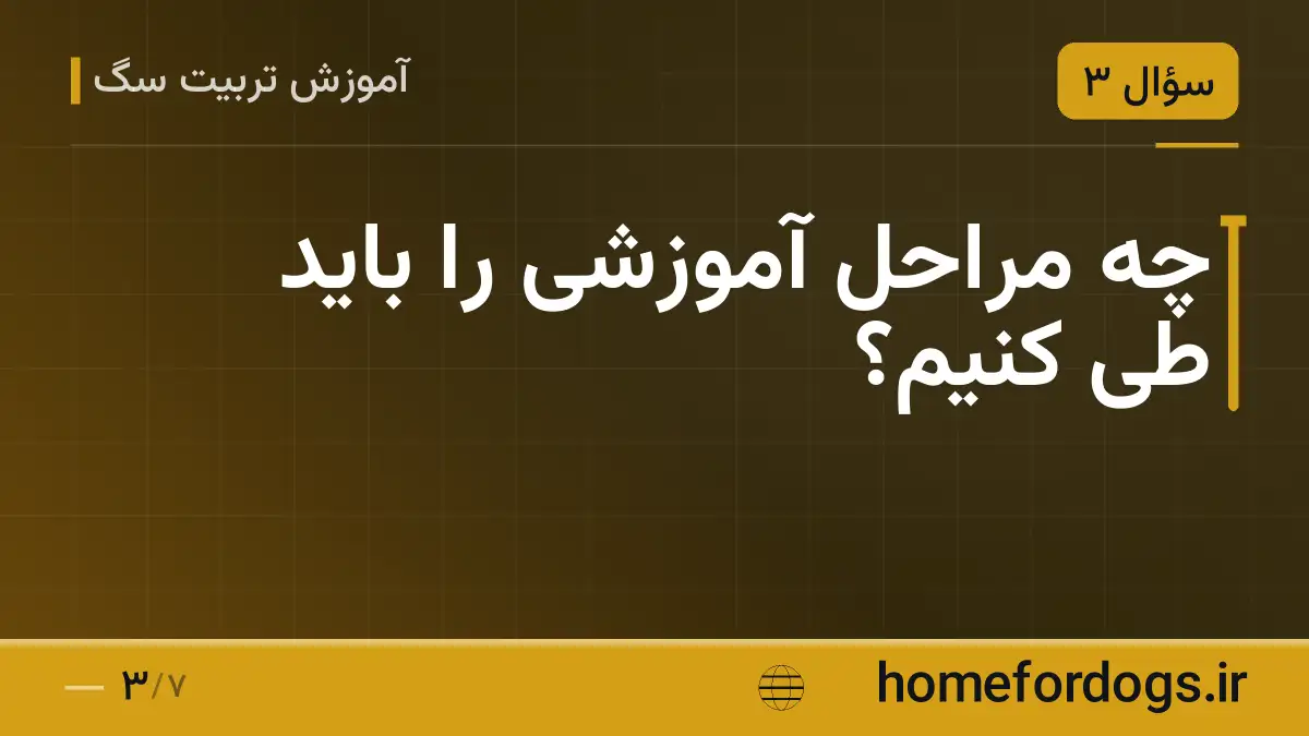 چه مراحل آموزشی را باید طی کنیم؟
