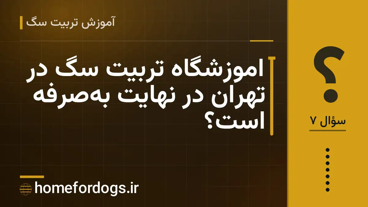اموزشگاه تربیت سگ در تهران در نهایت بهصرفه است؟