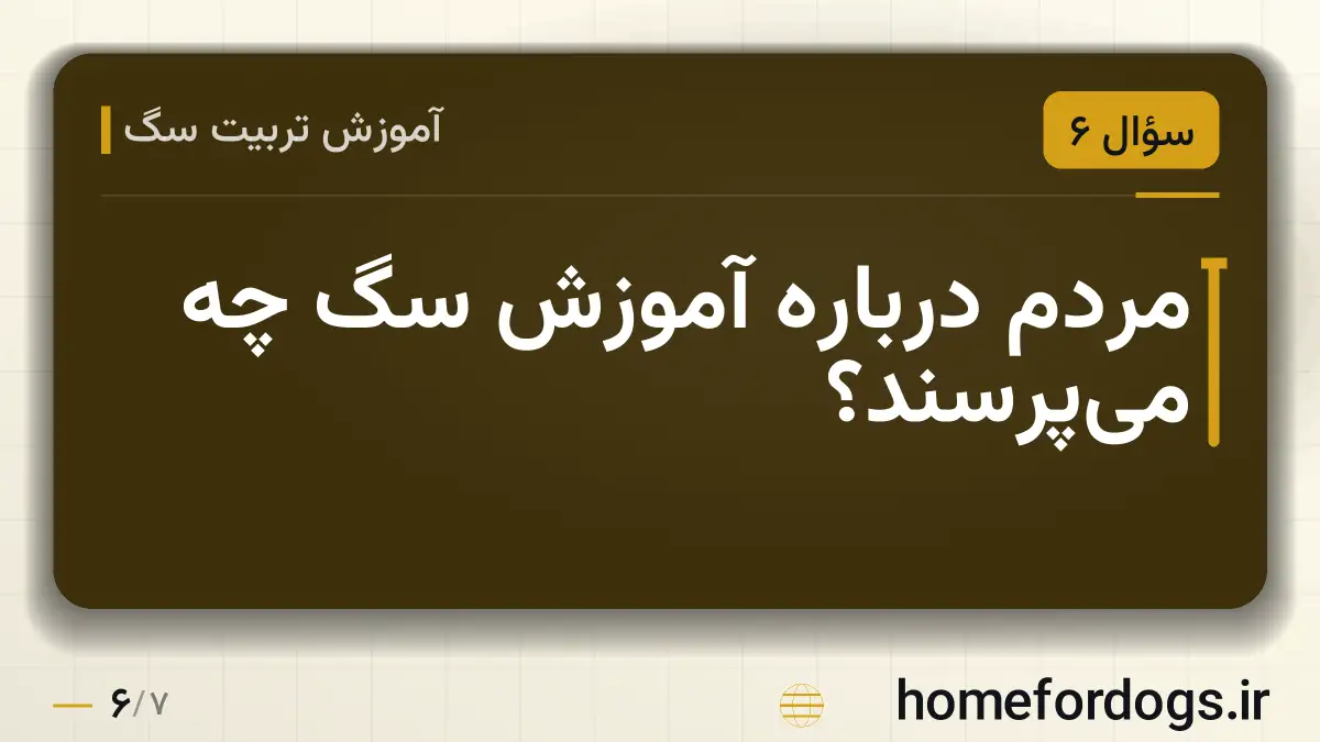 مردم درباره آموزش سگ چه میپرسند؟