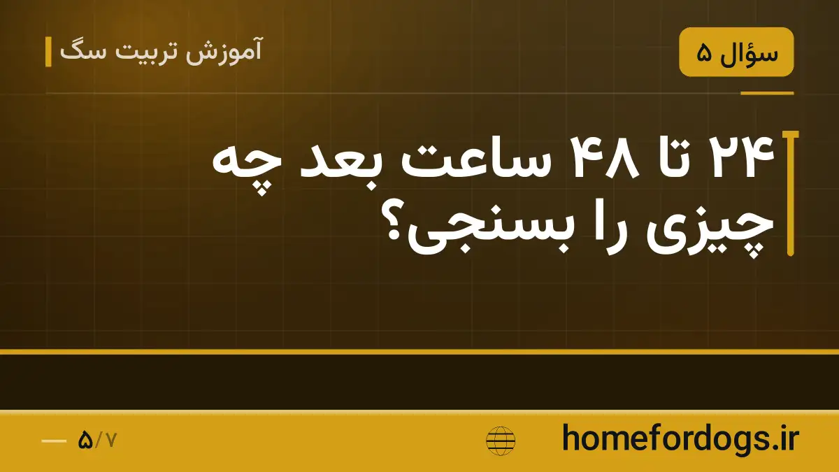 ۲۴ تا ۴۸ ساعت بعد چه چیزی را بسنجی؟