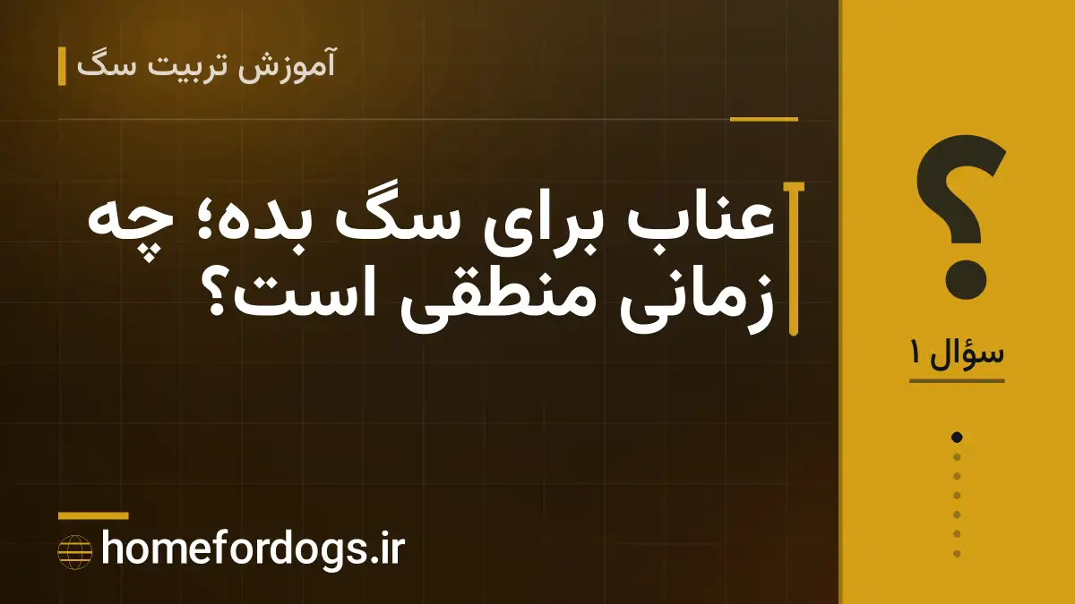 عناب برای سگ بده؛ چه زمانی منطقی است؟