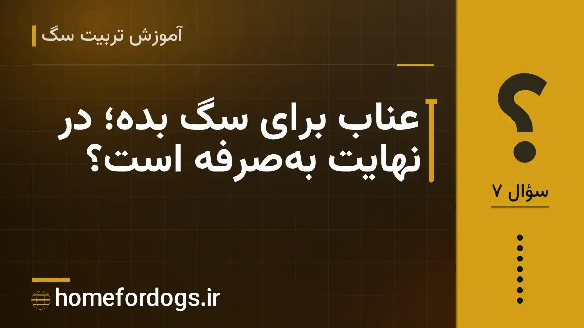 عناب برای سگ بده؛ در نهایت به‌صرفه است؟