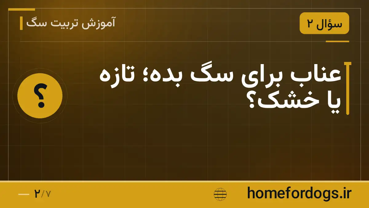 عناب برای سگ بده؛ تازه یا خشک؟