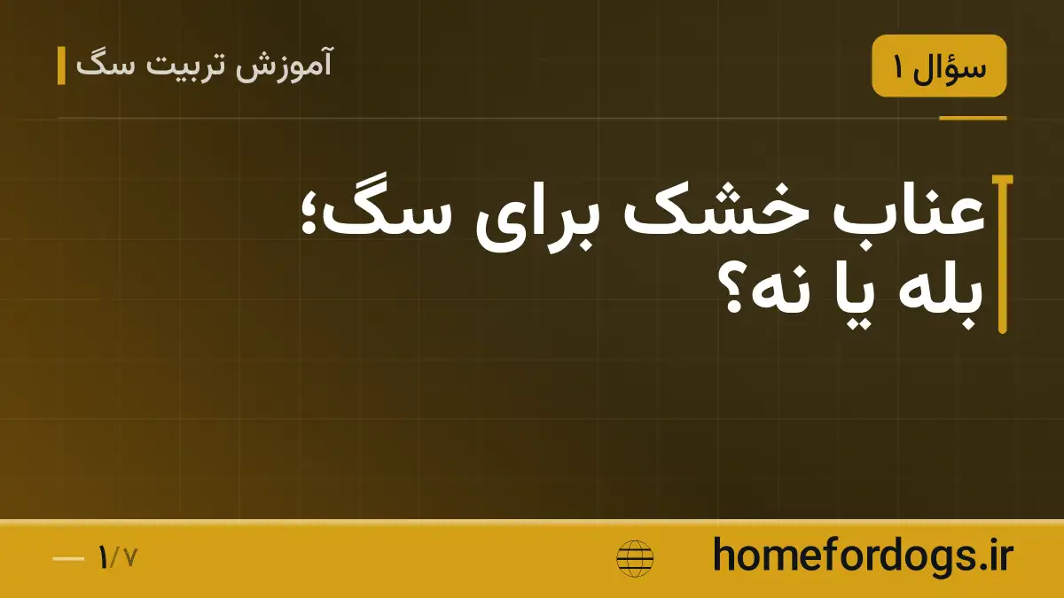 عناب خشک برای سگ؛ بله یا نه؟