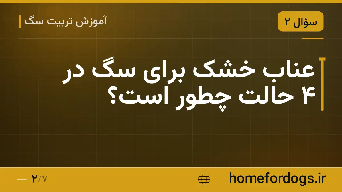 عناب خشک برای سگ در ۴ حالت چطور است؟
