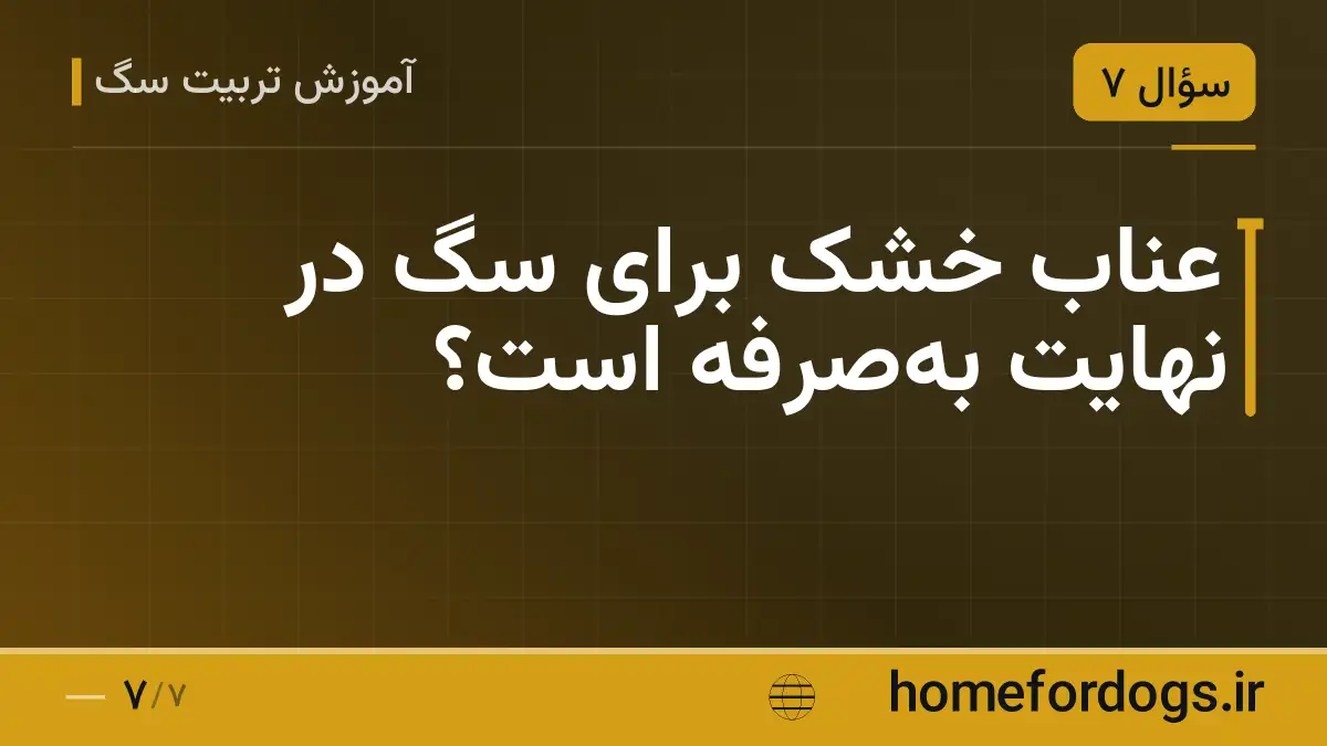 عناب خشک برای سگ در نهایت به‌صرفه است؟