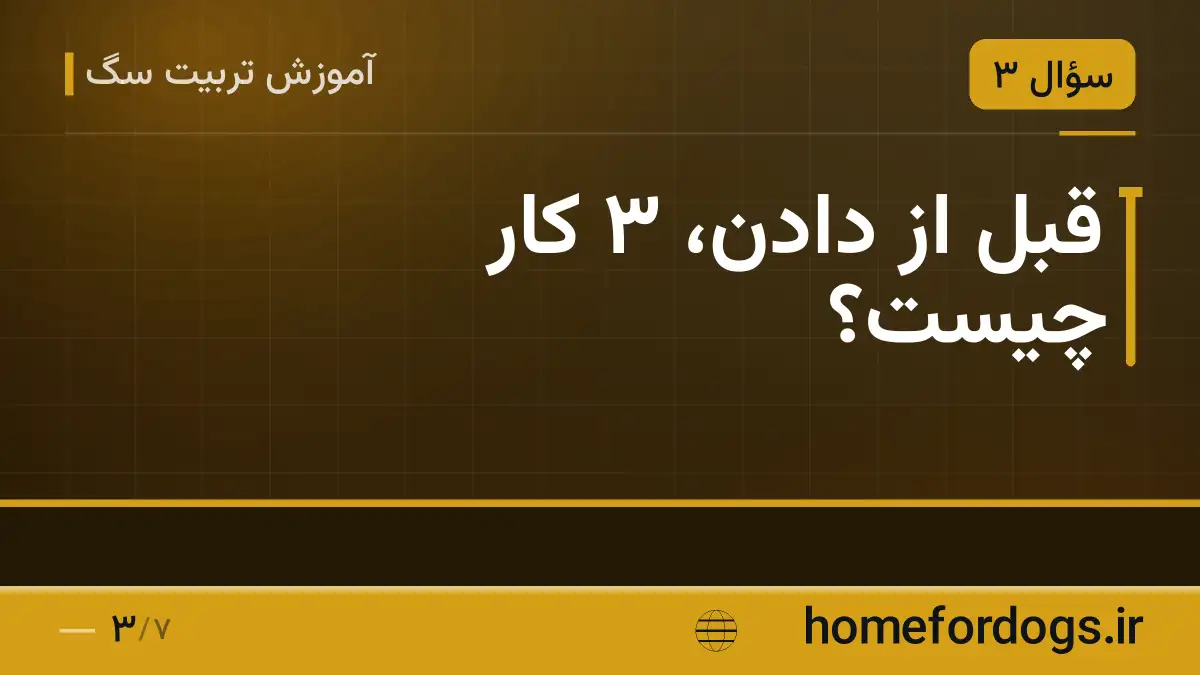 قبل از دادن، ۳ کار چیست؟