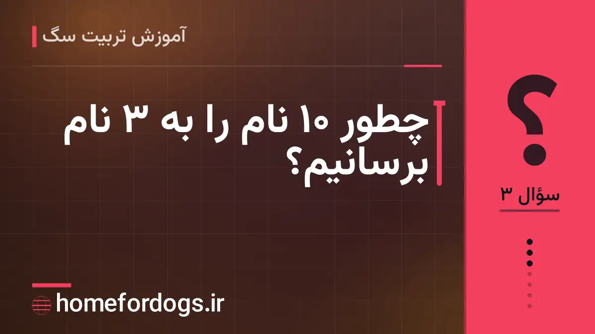چطور ۱۰ نام را به ۳ نام برسانیم؟