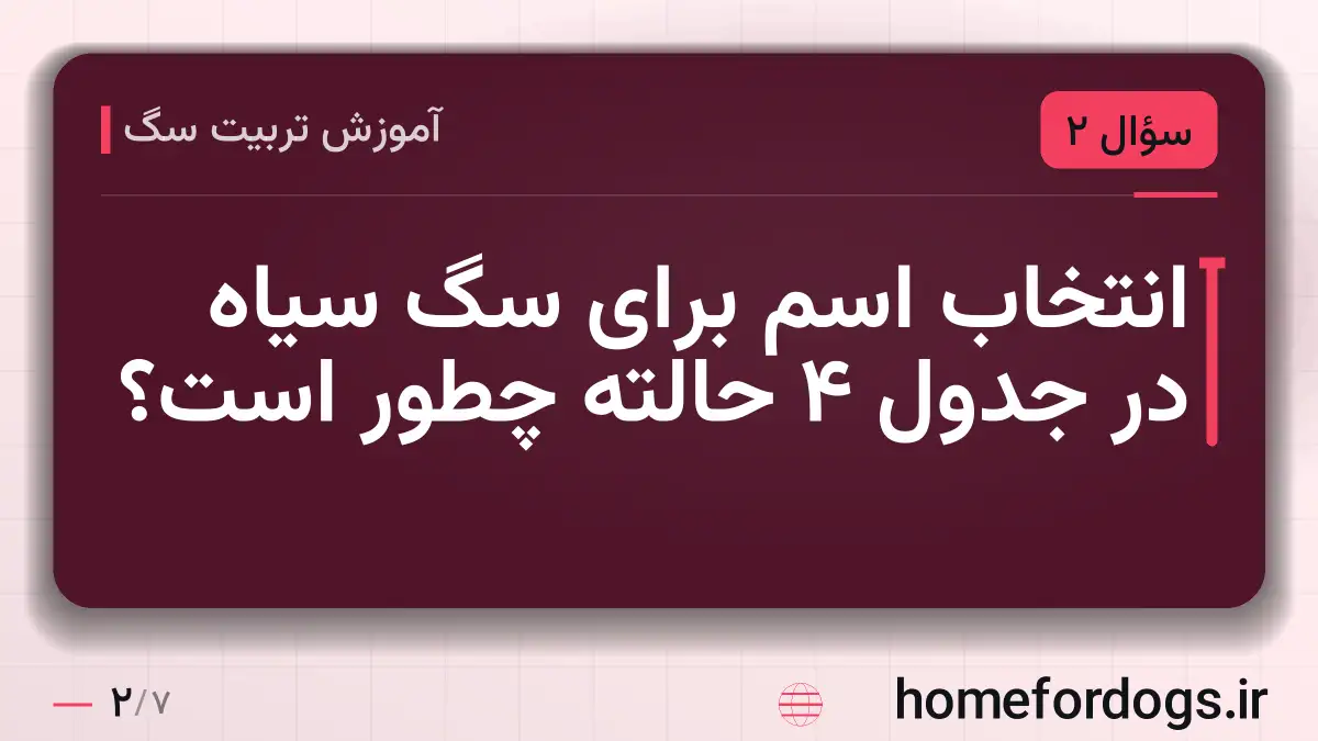 انتخاب اسم برای سگ سیاه در جدول ۴ حالته چطور است؟