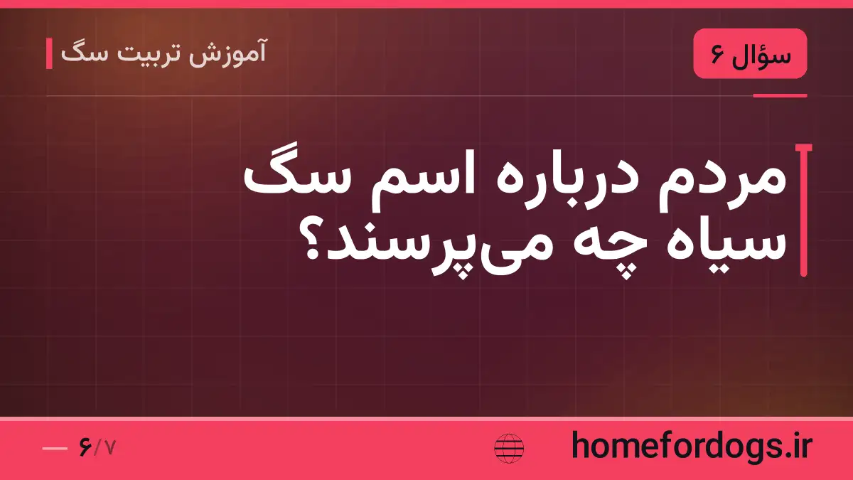 مردم درباره اسم سگ سیاه چه می‌پرسند؟