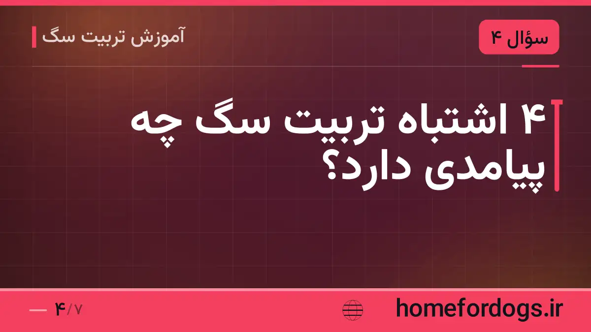 ۴ اشتباه تربیت سگ چه پیامدی دارد؟