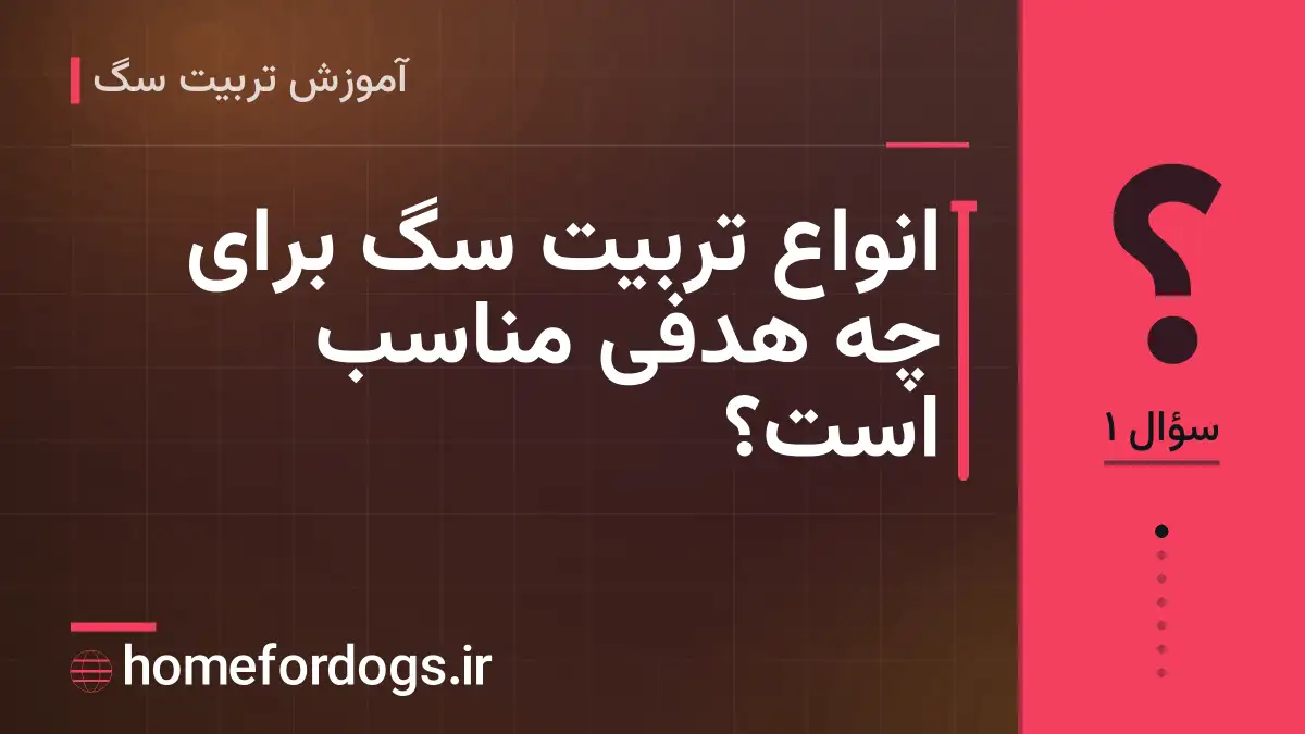 انواع تربیت سگ برای چه هدفی مناسب است؟