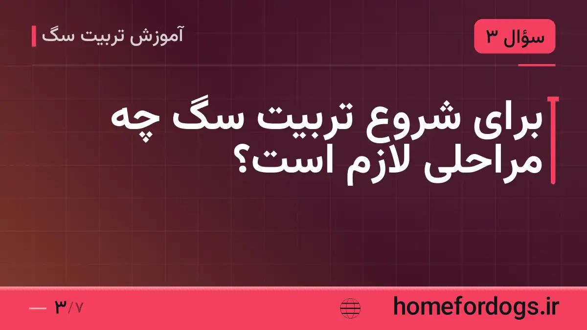 برای شروع تربیت سگ چه مراحلی لازم است؟