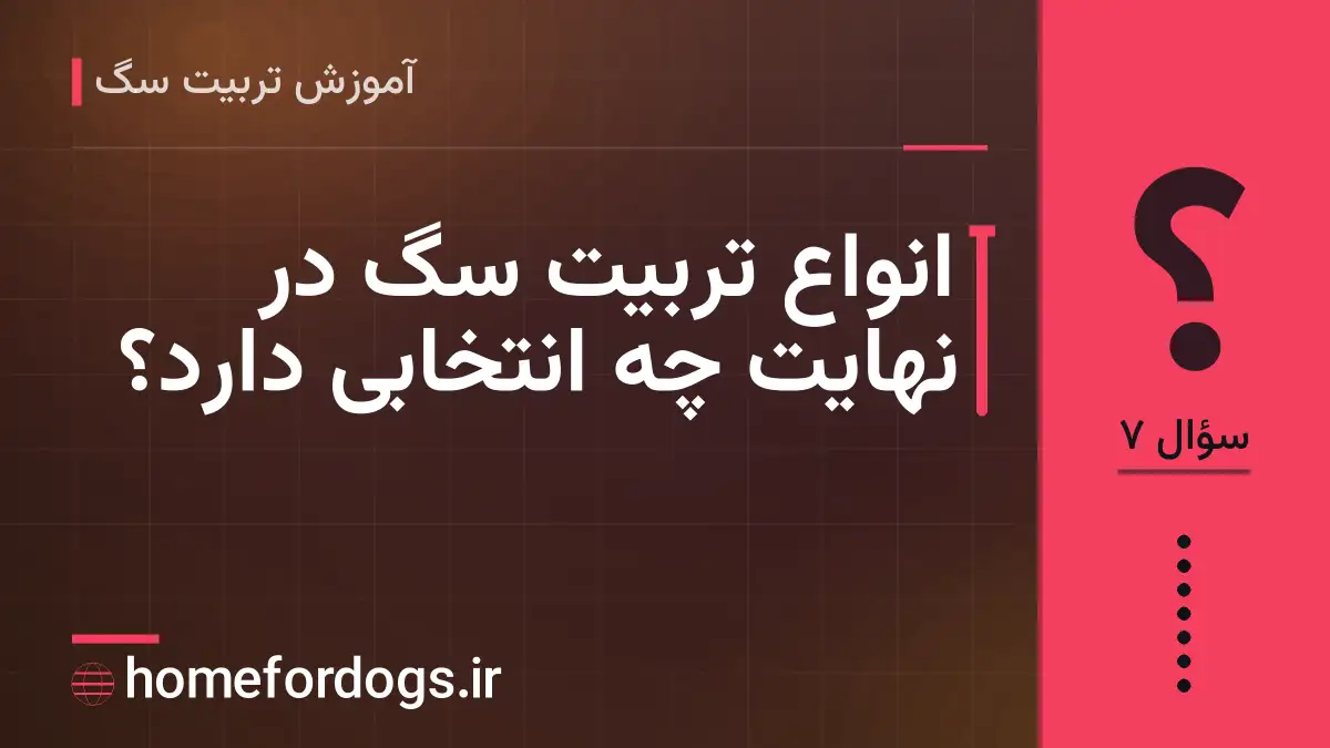 انواع تربیت سگ در نهایت چه انتخابی دارد؟