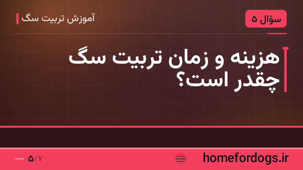 هزینه و زمان تربیت سگ چقدر است؟
