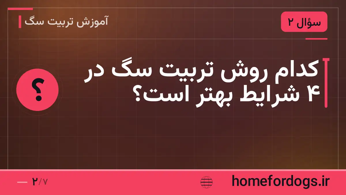 کدام روش تربیت سگ در ۴ شرایط بهتر است؟