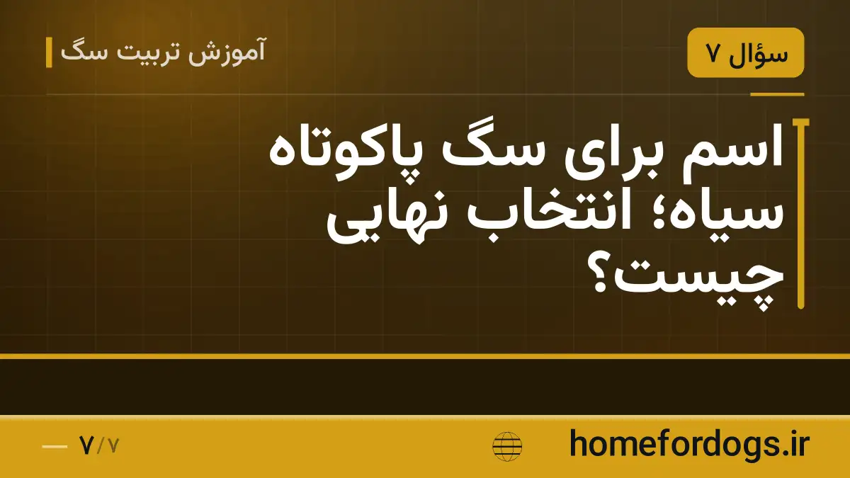 اسم برای سگ پاکوتاه سیاه؛ انتخاب نهایی چیست؟