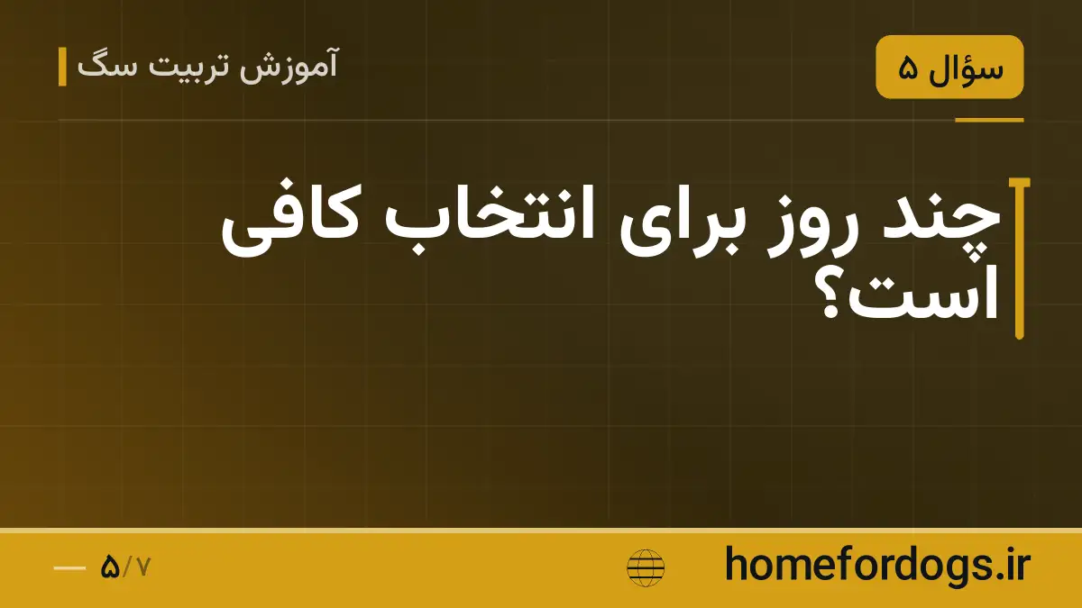 چند روز برای انتخاب کافی است؟
