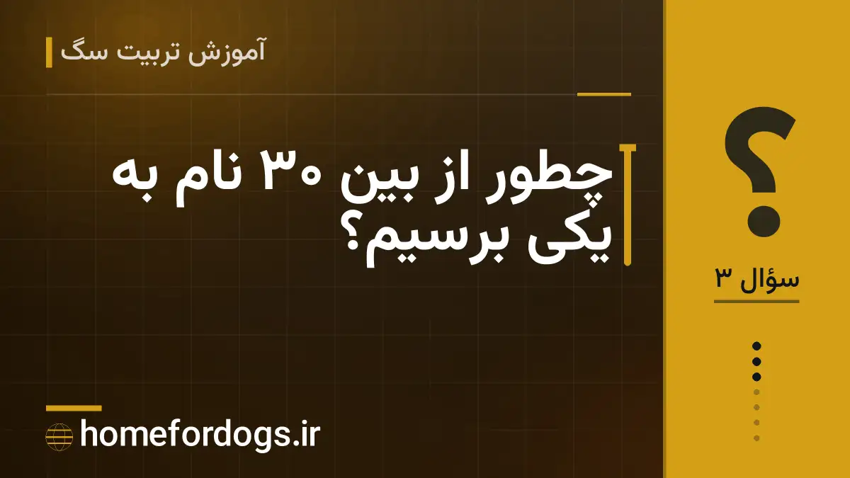 چطور از بین ۳۰ نام به یکی برسیم؟