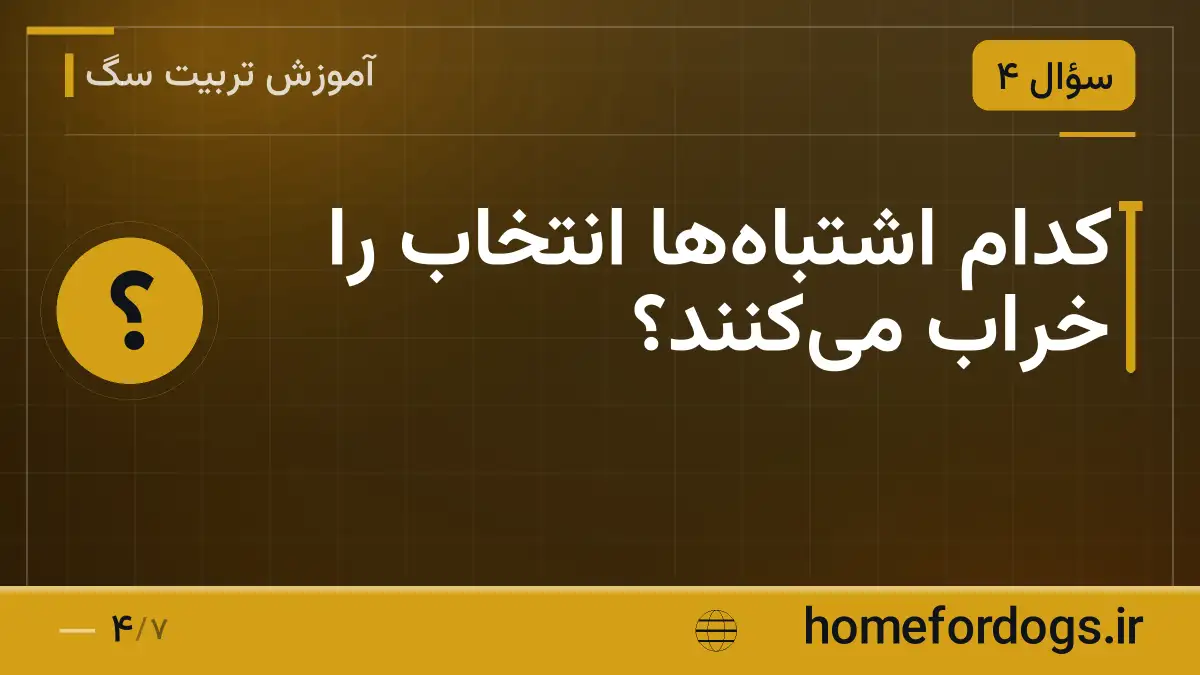 کدام اشتباه‌ها انتخاب را خراب می‌کنند؟