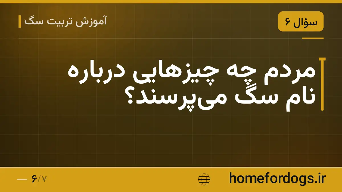 مردم چه چیزهایی درباره نام سگ می‌پرسند؟