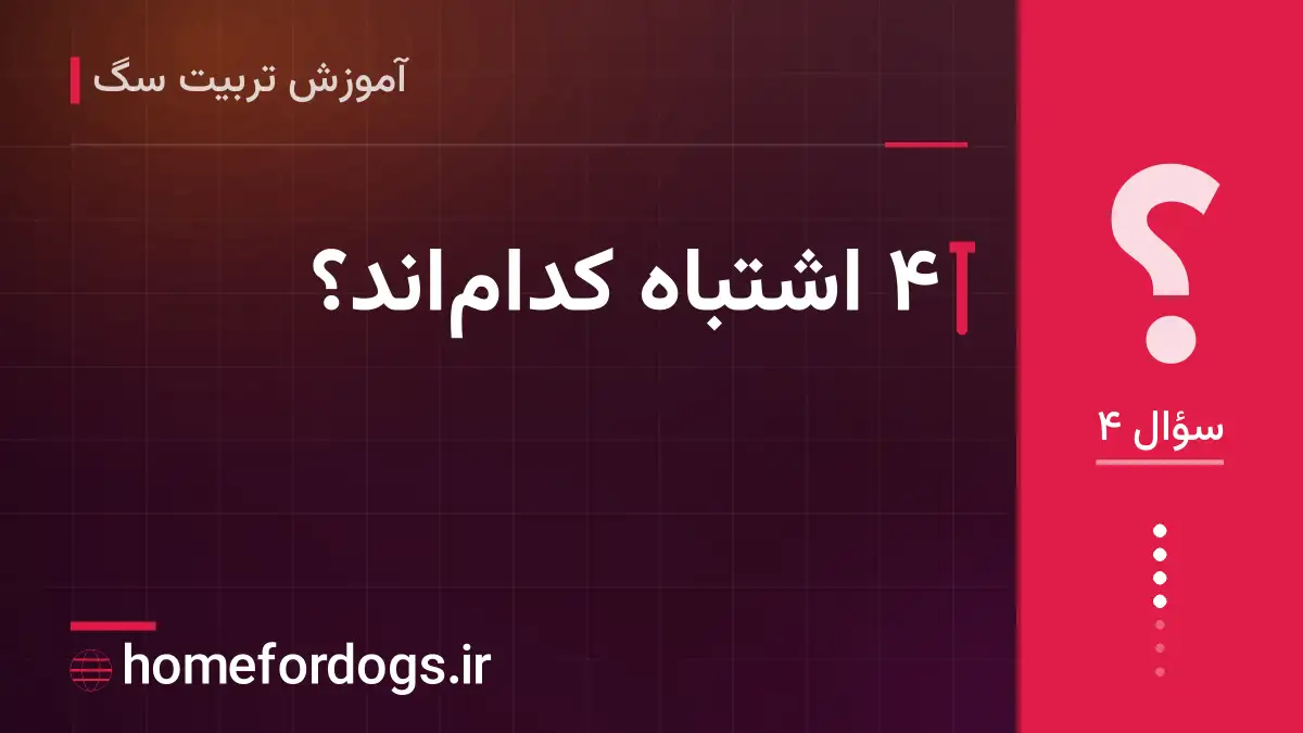 ۴ اشتباه کدام‌اند؟