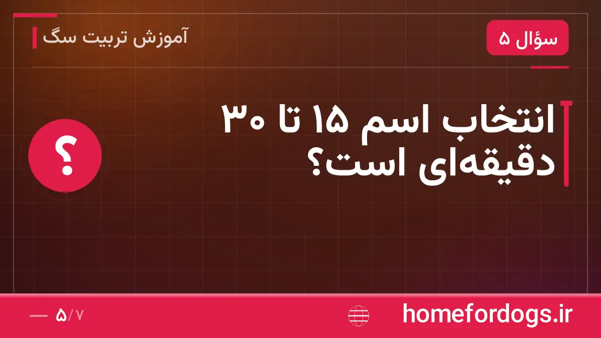انتخاب اسم ۱۵ تا ۳۰ دقیقه‌ای است؟