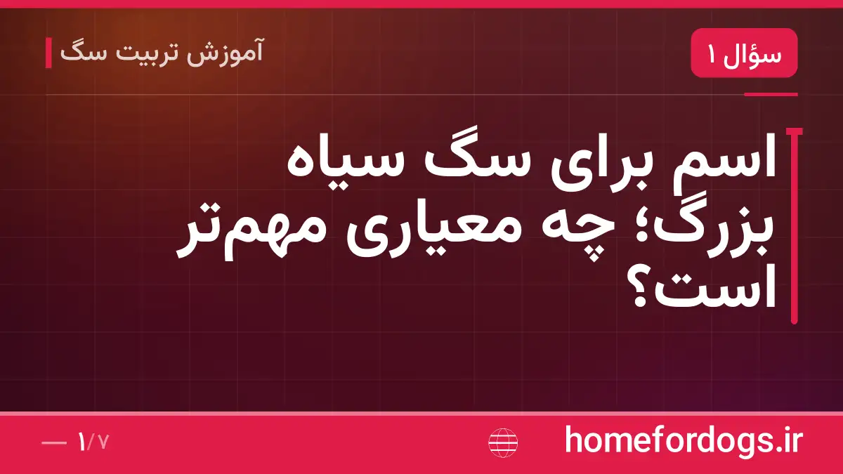 اسم برای سگ سیاه بزرگ؛ چه معیاری مهم‌تر است؟