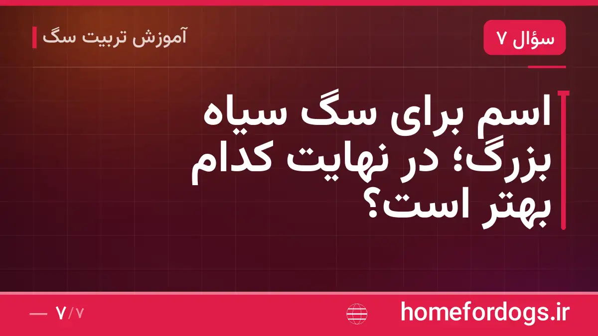 اسم برای سگ سیاه بزرگ؛ در نهایت کدام بهتر است؟