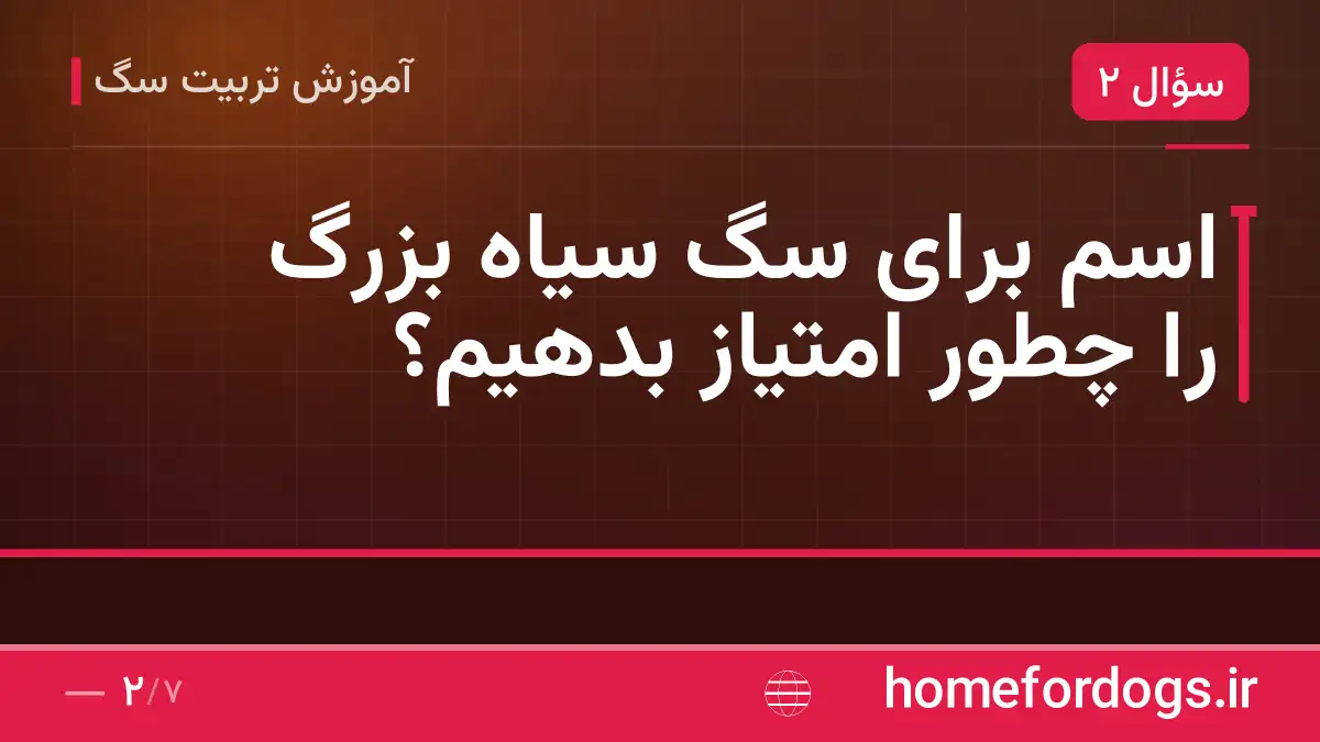 اسم برای سگ سیاه بزرگ را چطور امتیاز بدهیم؟