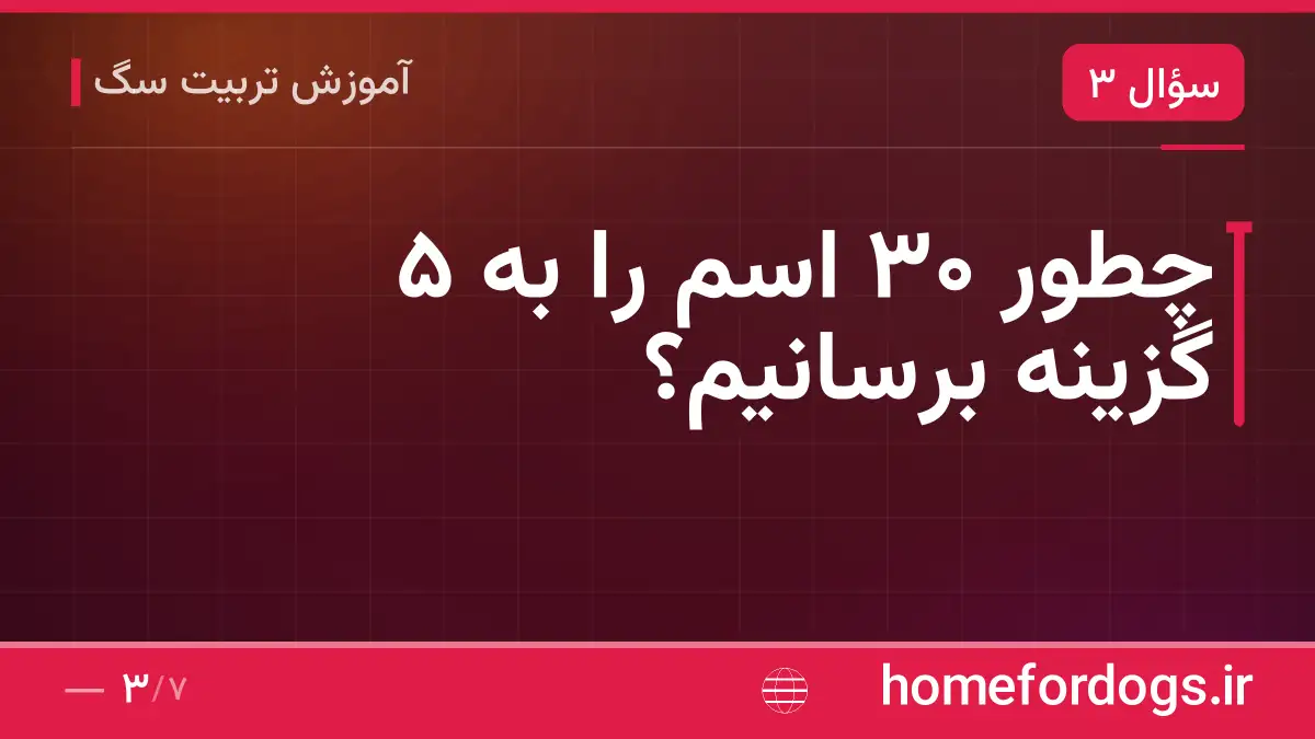 چطور ۳۰ اسم را به ۵ گزینه برسانیم؟