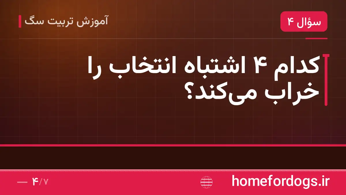 کدام ۴ اشتباه انتخاب را خراب می‌کند؟