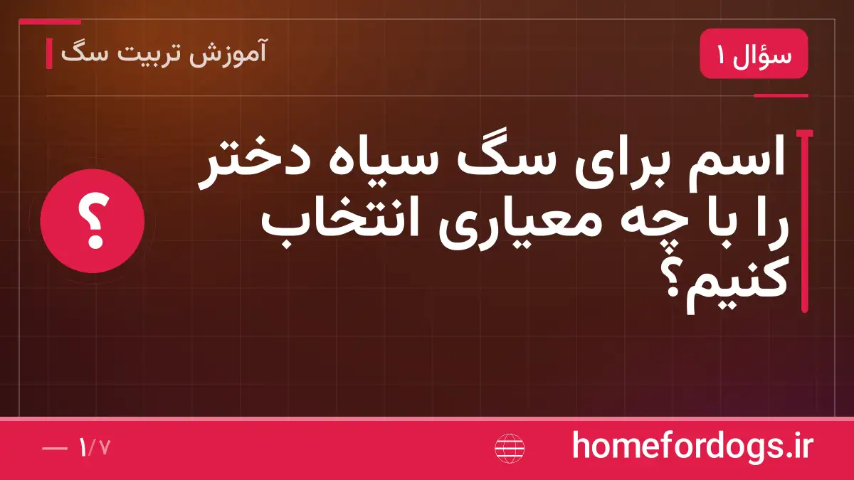 اسم برای سگ سیاه دختر را با چه معیاری انتخاب کنیم؟