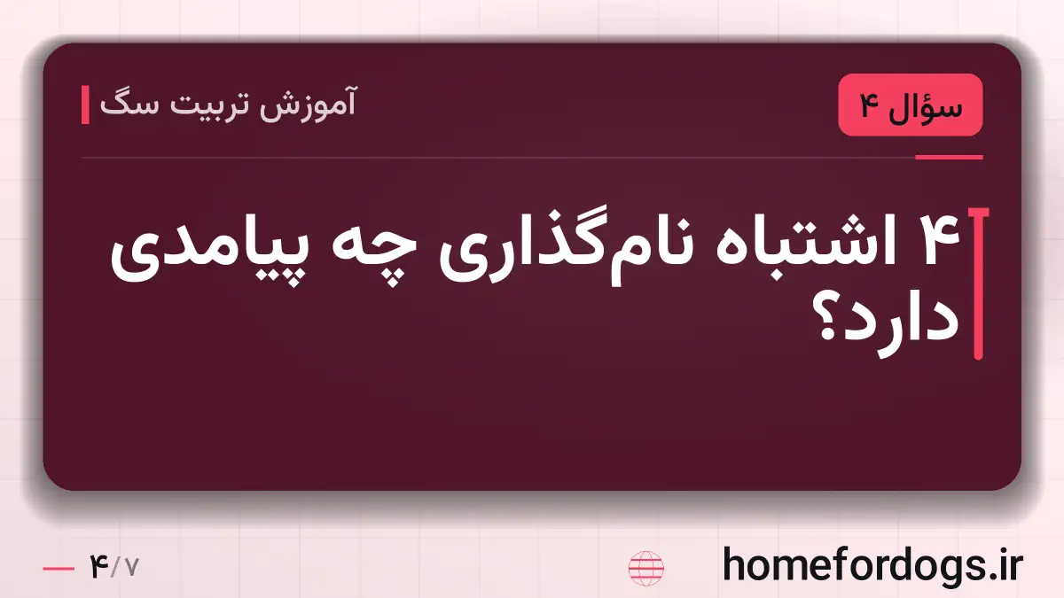 ۴ اشتباه نامگذاری چه پیامدی دارد؟