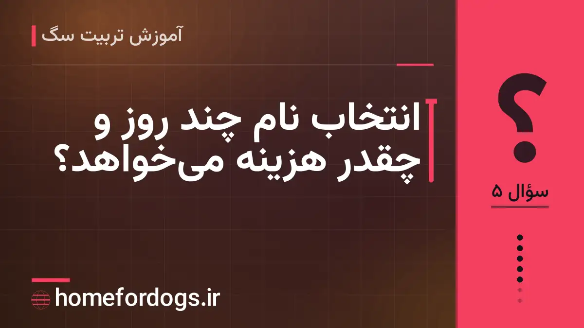 انتخاب نام چند روز و چقدر هزینه میخواهد؟