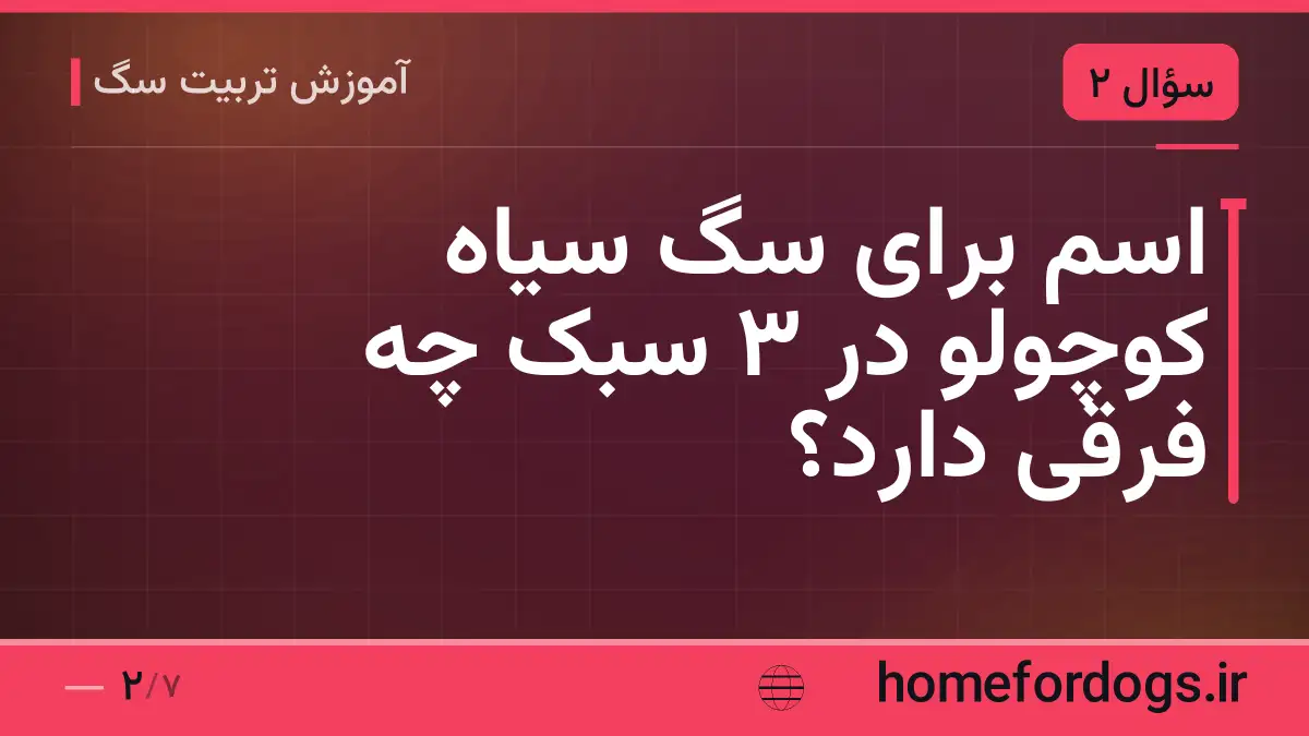 اسم برای سگ سیاه کوچولو در ۳ سبک چه فرقی دارد؟
