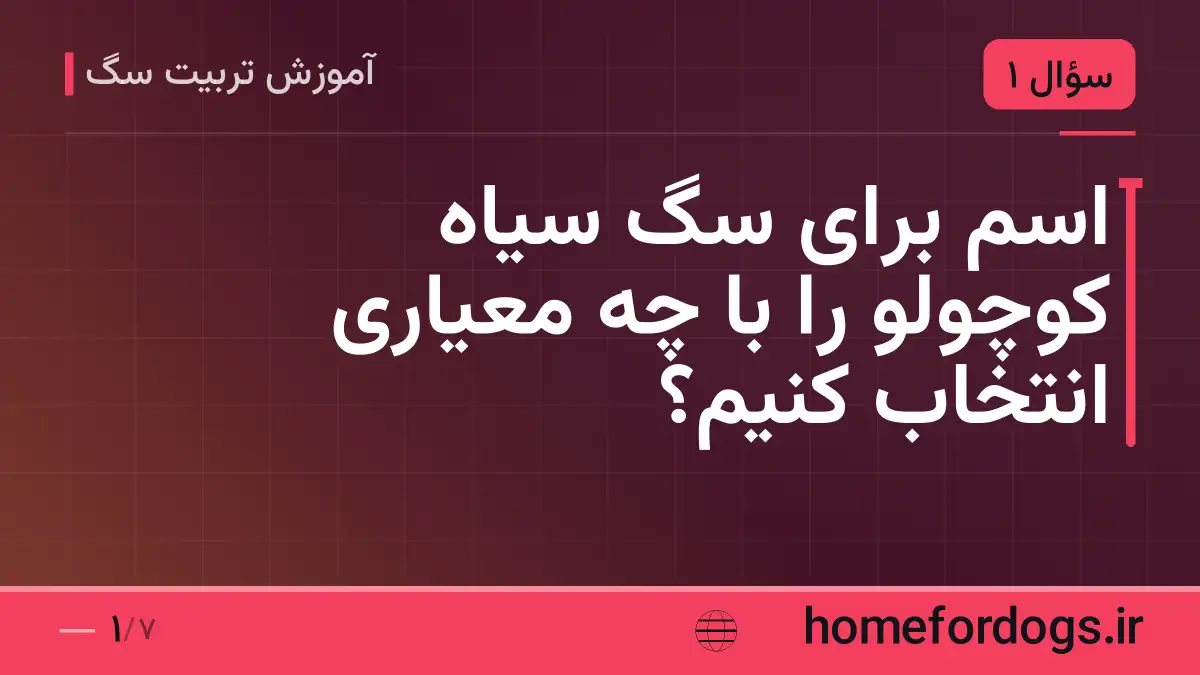 اسم برای سگ سیاه کوچولو را با چه معیاری انتخاب کنیم؟