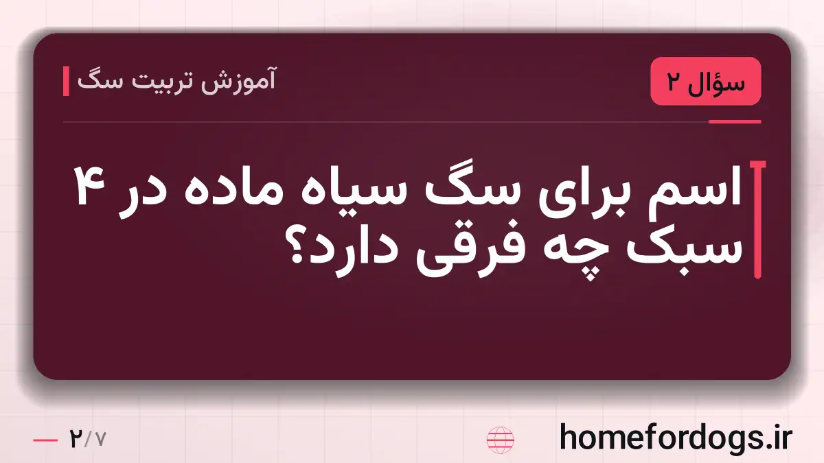 اسم برای سگ سیاه ماده در ۴ سبک چه فرقی دارد؟