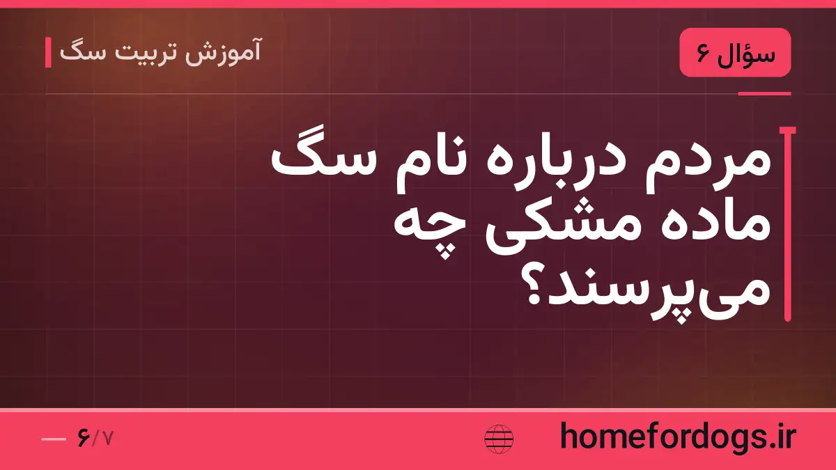 مردم درباره نام سگ ماده مشکی چه میپرسند؟